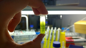 Reagentes para laboratório de microbiologia